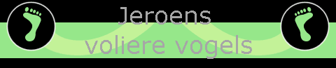 Jeroens voliere vogel site