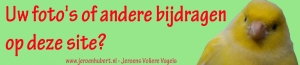 Vogelblog